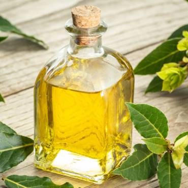 Monovarietal extra virgin olive oil